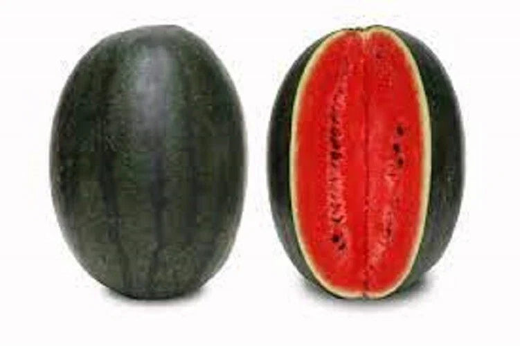 Premium Black Diamond Watermelon Seeds - Heirloom Citrullus lanatus for Home Gardening, Juicy Large Fruit