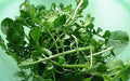 Upland Cress Seeds Pack of 1000+ | Garden & American Cress | Lepidium sativum | Edible Greens for Indoor & Outdoor Gardening