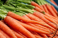 Nantes Scarlet Carrot Seeds - 775 Packets, Daucus carota, Non-GMO, Full Sun, Home Garden, Vegetable Seeds