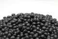 Black Soybean Seeds for Planting - 1 lb, Organic, Non-GMO Glycine max, Full Sun, Bushy Growth