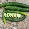 Aonaga Jibai Cucumber Seeds - Pack of 25+ Non-GMO, Heirloom, Garden Planting, Cucumis sativus, Suitable for Containers & Small Gardens