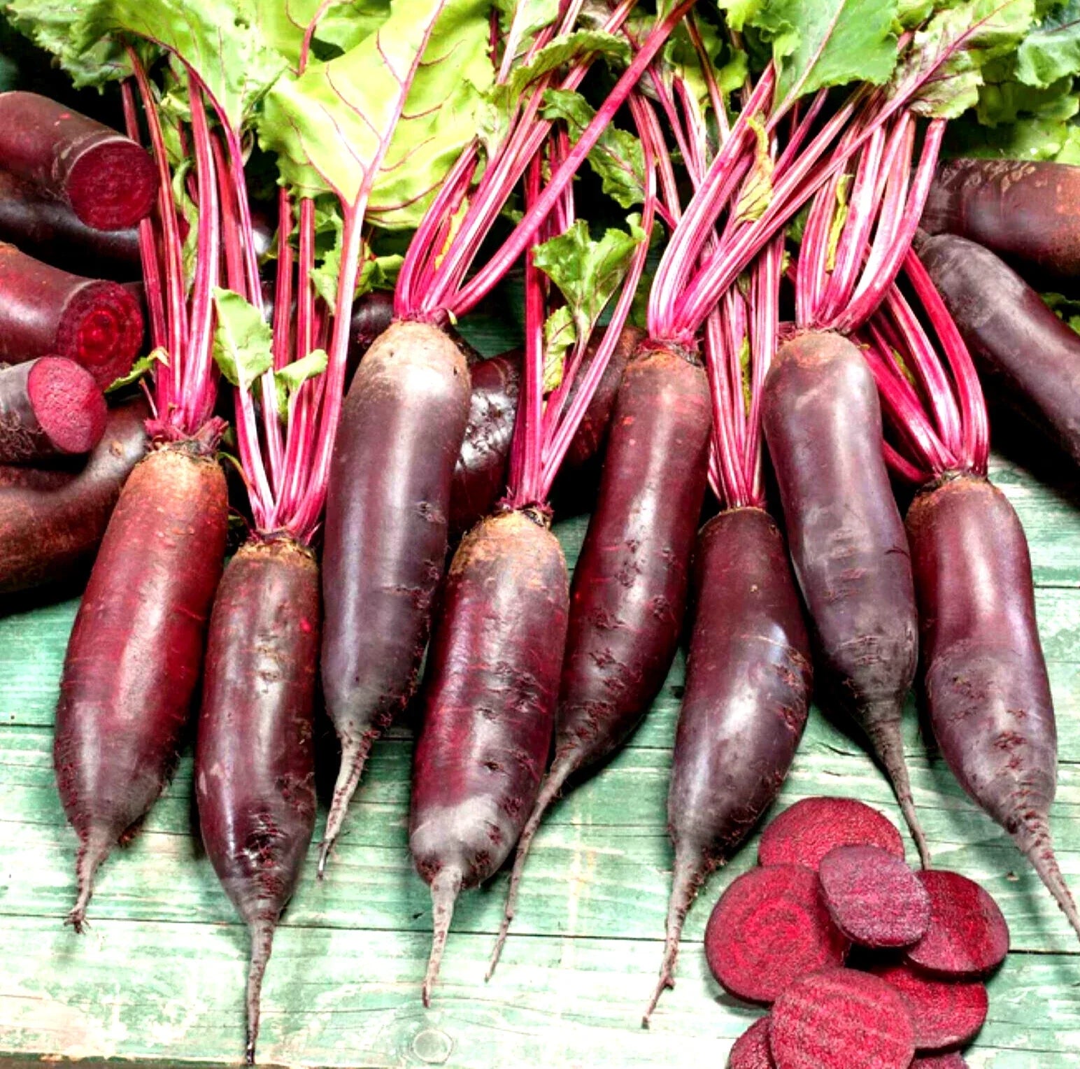 Cylindra Beet Seeds – Non-GMO Heirloom Beta vulgaris, 100+ Pack for Home Garden, Container Planting, Roasting & Pickling