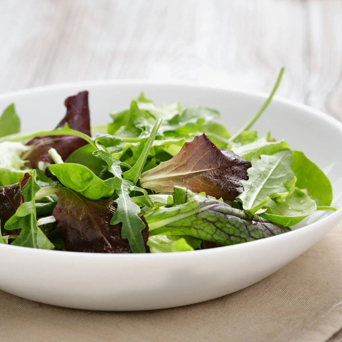 Gourmet Mixed Lettuce Seeds, Non-GMO Bulk, Heirloom Varieties, Lactuca sativa, Fresh Garden Seeds USA