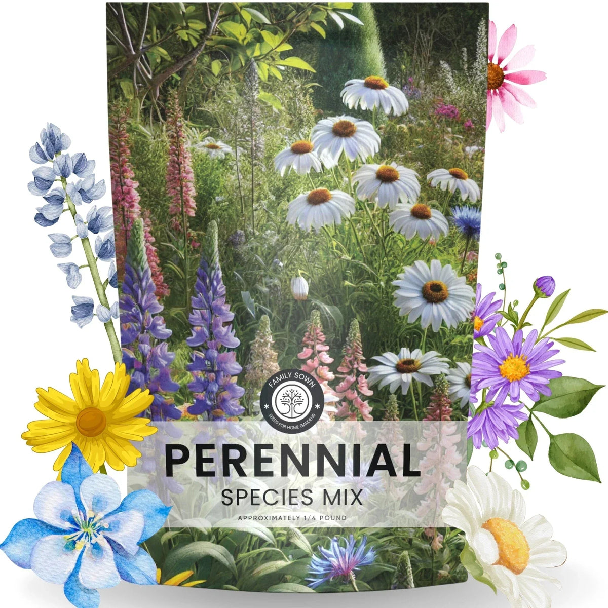Perennial Wildflower Seed Mix Bulk 1/4 Pound - 60,000 Native Flower Seeds for Pollinators