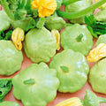 Organic Heirloom Summer Squash Seeds – Bennings Green Tint Cucurbita pepo, Bush Type, 40+ Seeds for Vegetable Garden