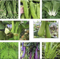Asian Vegetable Seeds Set – 25 Varieties Non-GMO Heirloom Seeds for Gardening, Edible Plants, Home Garden, Container, Raised Bed