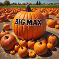 Big Max Pumpkin Seeds – Heirloom, Non-GMO, Prize-Winning, Giant Pumpkin, Cucurbita pepo, Pack of 15