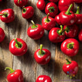 Cherry Bomb Sweet Pepper Seeds - 25+ Pack, Capsicum annuum, Garden Planting, Non-GMO, Full Sun, Compact Bushy Plant