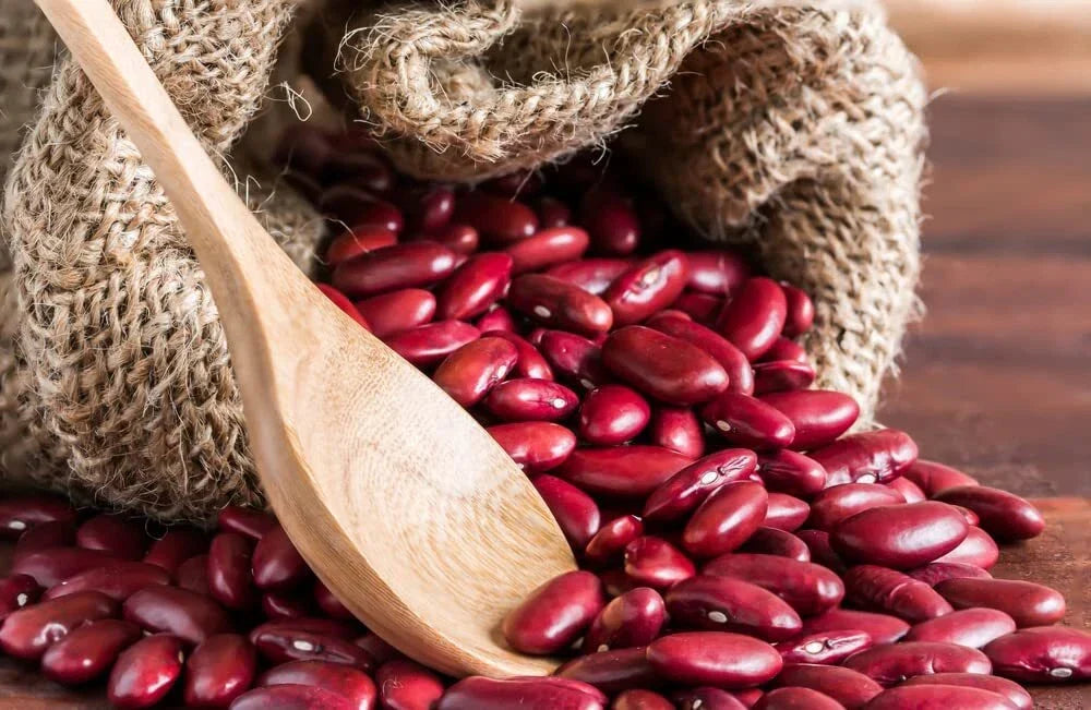 Red Kidney Bean Seeds - Phaseolus vulgaris - Easy to Grow, Healthy, 30 Seeds for Gardening & Cooking