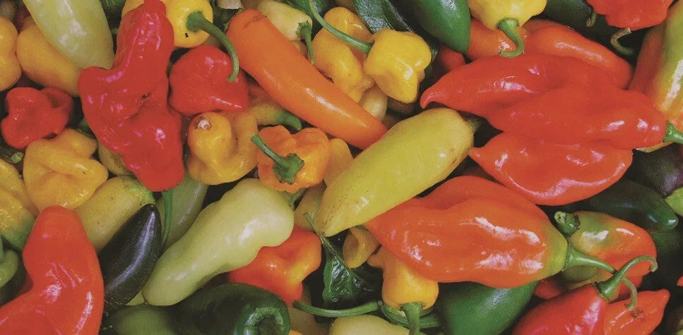 Hot Pepper Seeds Mix 100 Seeds - Capsicum Annuum, Habanero, Jalapeño, Serrano, Cayenne, Colorful Variety Pack