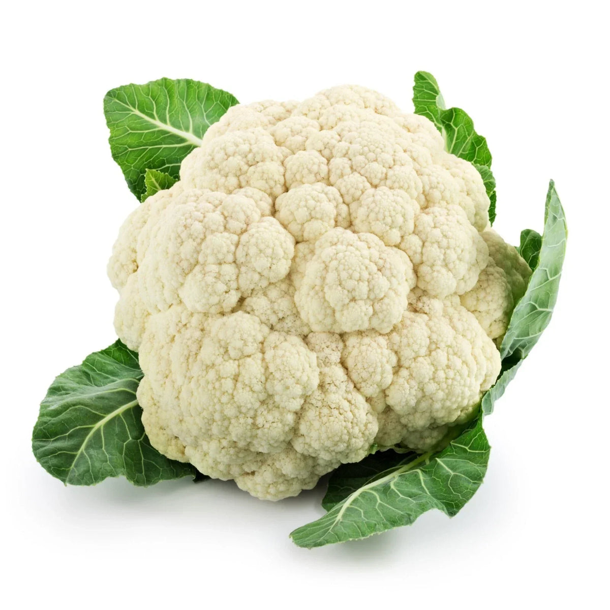 Cauliflower Seeds - Snowball Variety - High Germination Brassica oleracea - Non-GMO, White Heads, Easy to Grow
