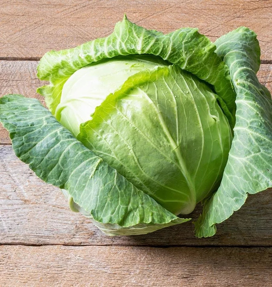 Cabbage Seeds - Heirloom Copenhagen Market - Non-GMO Vegetable Seeds for Home Garden & Raised Beds - Brassica oleracea