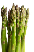 Asparagus Seeds - UC-72 Variety, Non-GMO, Home Garden, Asparagus officinalis, Perennial, 100 Seeds