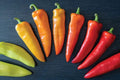 Hungarian Hot Wax Pepper Seeds - Heirloom Capsicum annuum, Spicy Vegetable Seeds for Home Gardening, 30 Seeds