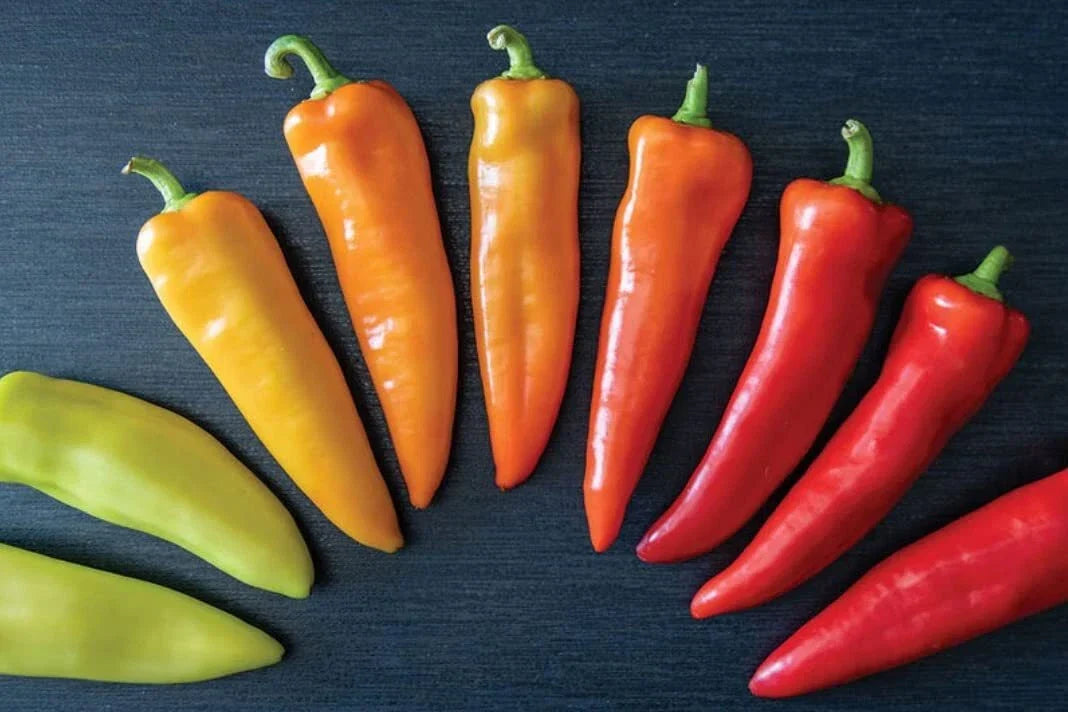 Hungarian Hot Wax Pepper Seeds - Heirloom Capsicum annuum, Spicy Vegetable Seeds for Home Gardening, 30 Seeds