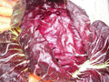 Radicchio Seeds - Palla Rosa Non-GMO Heirloom Cichorium intybus, Salad, Gourmet, 200 Seeds