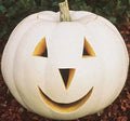 Casper Pumpkin Seeds - 12+ White Vegetable Seeds for Halloween Garden - Ornamental Cucurbita pepo