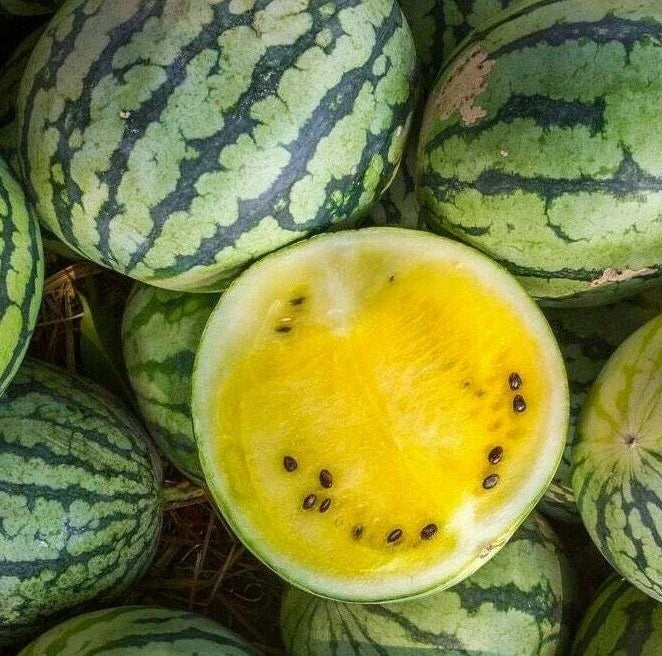 Yellow Crimson Watermelon Seeds - Citrullus lanatus, 15+ Seeds, Sweet Yellow Flesh, Large Melons, Garden Planting, Free Shipping