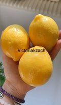 Meyer Lemon Seeds - Organic Non-GMO Citrus limon Edible Fruit Tree for Home Garden, Container Planting