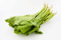 Florida Broadleaf Mustard Greens Seeds - 250 Pack, Heirloom Brassica juncea, Fast-Growing, Non-GMO, Made in USA, Edible Greens