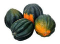 Heirloom Winter Squash Seeds - King Bush Acorn Variety - Prolific Cucurbita pepo, Compact Bush, Nutty Flavor, 20 Seeds