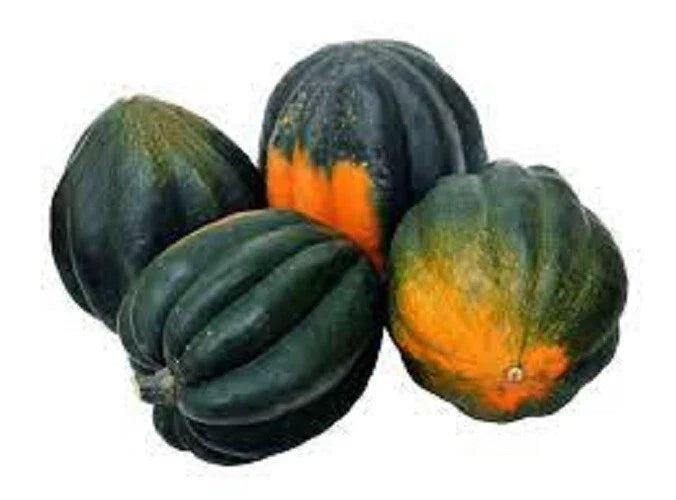 Heirloom Winter Squash Seeds - King Bush Acorn Variety - Prolific Cucurbita pepo, Compact Bush, Nutty Flavor, 20 Seeds