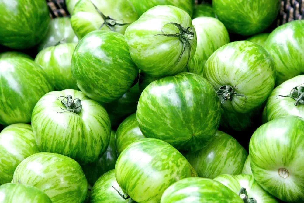 Green Zebra Tomato Seeds - Heirloom Striped Green and Yellow, Solanum lycopersicum, 50+ Seeds, Made in USA