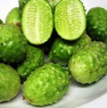 West Indian Gherkin Seeds - 50+ Heirloom Burr Spike Cucumber Organic, Rare Cucumis anguria, Pickling & Salad Seeds for Garden