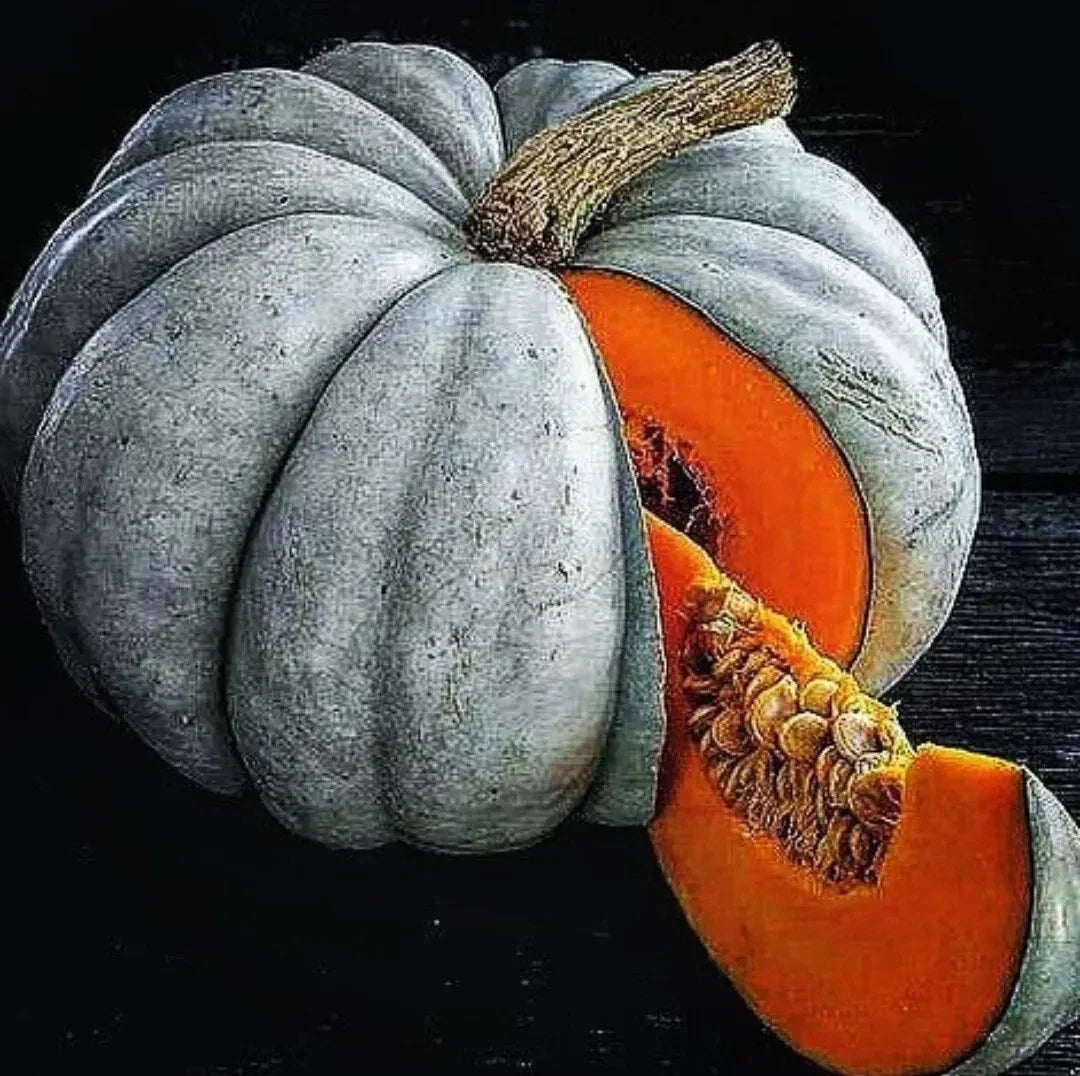 Jarrahdale Blue Pumpkin Seeds Pack of 15 | Cucurbita maxima | Unique bluish-gray pumpkins for culinary and decoration