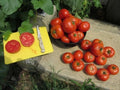Homestead Tomato Seeds - 120+ Heirloom, Non-GMO, Drought-Resistant Solanum lycopersicum, Indeterminate, Packaged Seeds