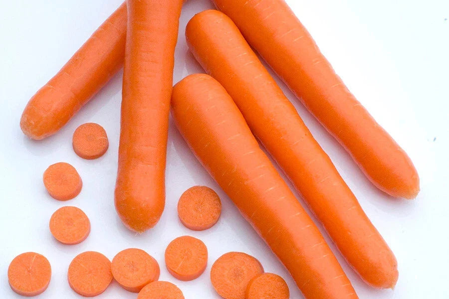 Bolero Carrot Seeds - 1000+ Non-GMO Daucus carota for Garden Planting, Home Gardens, Container Gardening