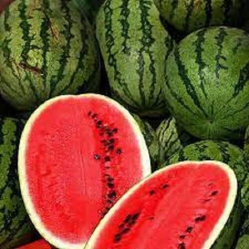 Premium All Sweet Watermelon Seeds - Heirloom Citrullus lanatus, Non-GMO, Juicy, Large Fruit, Full Sun, Resealable Pack