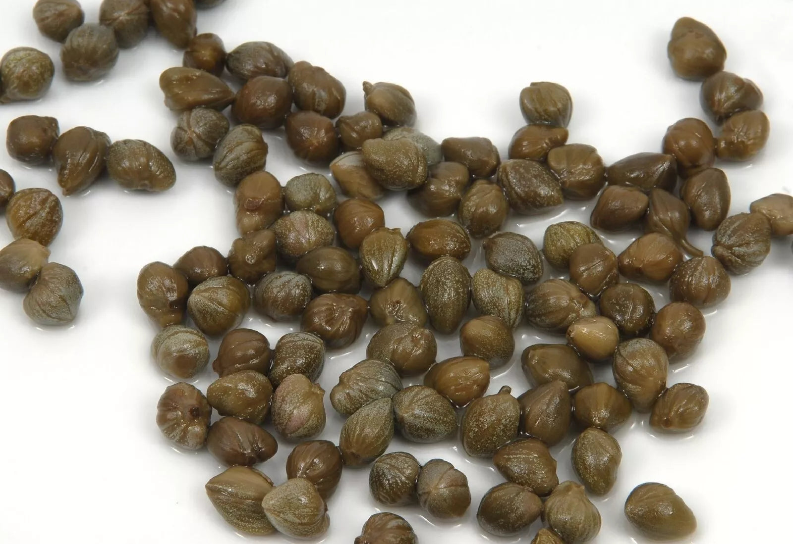 Caper Bush Seeds - 25+ Capparis Spinosa Edible Perennial Shrub for Garden & Culinary Use