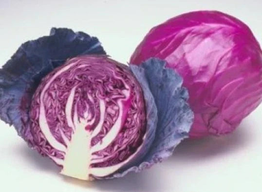 Red Acre Cabbage Seeds - 25 Pack, Brassica oleracea, Non-GMO, Heirloom, Organic, Full Sun, Compact Heads, Home Garden, USA Shipping
