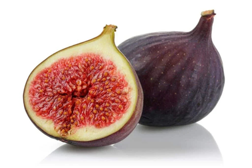 Osborne Prolific Fig Seeds - 100+ Count, Ficus carica, Fruit-Bearing, Garden Planting, Easy to Grow