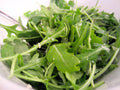 Organic Arugula Seeds, Roquette, Eruca sativa, Fast-Growing, Salad Greens, Patio & Container Gardening, Non-GMO, Spring & Fall
