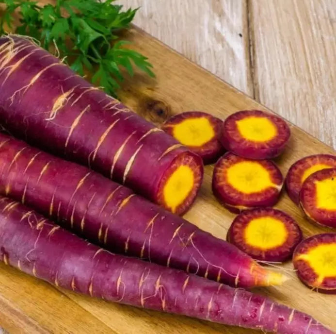 Cosmic Purple Carrot Seeds - Organic Non-GMO Heirloom Vegetable Seeds for Home Gardening - 200+ Premium Daucus Carota
