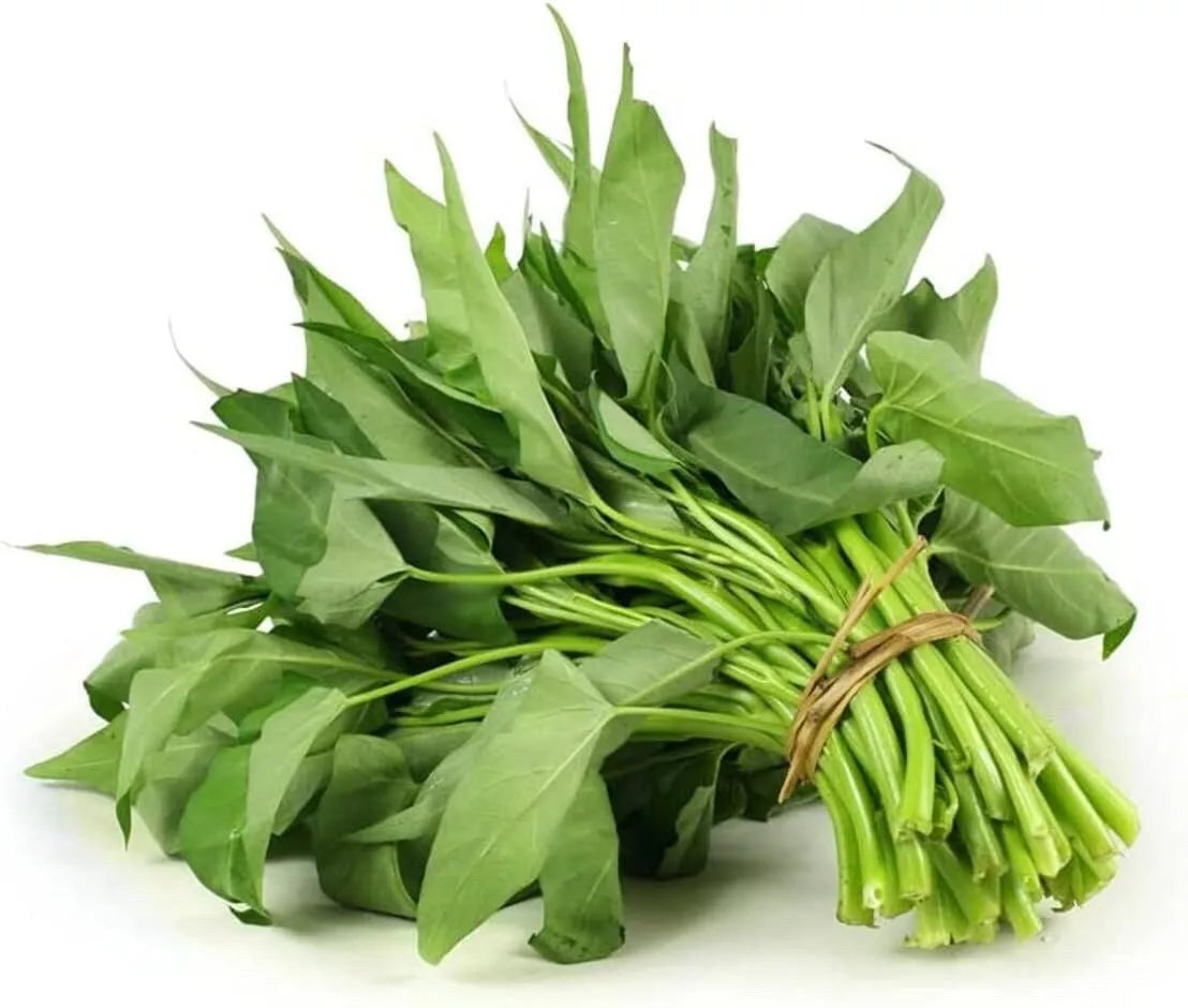 Ong Choy Seeds - Vietnamese Kang Kong - Ipomoea Aquatica - Fast-Growing Edible Vegetable for Stir-Fry and Soups