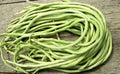 Yard Long Bean Seeds Pack of 15+ | Asian Chinese Long Beans | High Yield Vigna unguiculata Subsp. Sesquipedalis