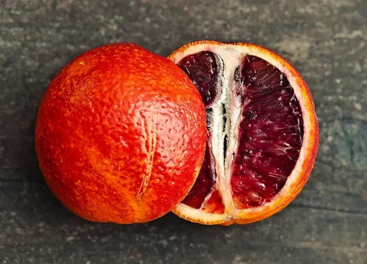 Blood Orange Seeds Pack of 5+ | Citrus sinensis Fruit Tree Seeds for Home Garden & Potted Plants