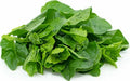 Organic Green Malabar Spinach Seeds - Basella alba, Climbing Vine, 50+ Seeds for Warm Climate Gardens