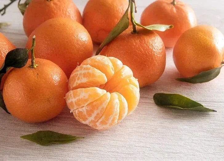 Citrus reticulata Clementine Orange Seeds – 5+ Pack for Garden Planting, Fruit Tree, Juicy Citrus, Homegrown Fruit Seeds