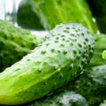 Boston Pickling Cucumber Seeds | Non-GMO Heirloom Vegetable Seeds | Cucumis sativus for Home Garden, Container Gardening