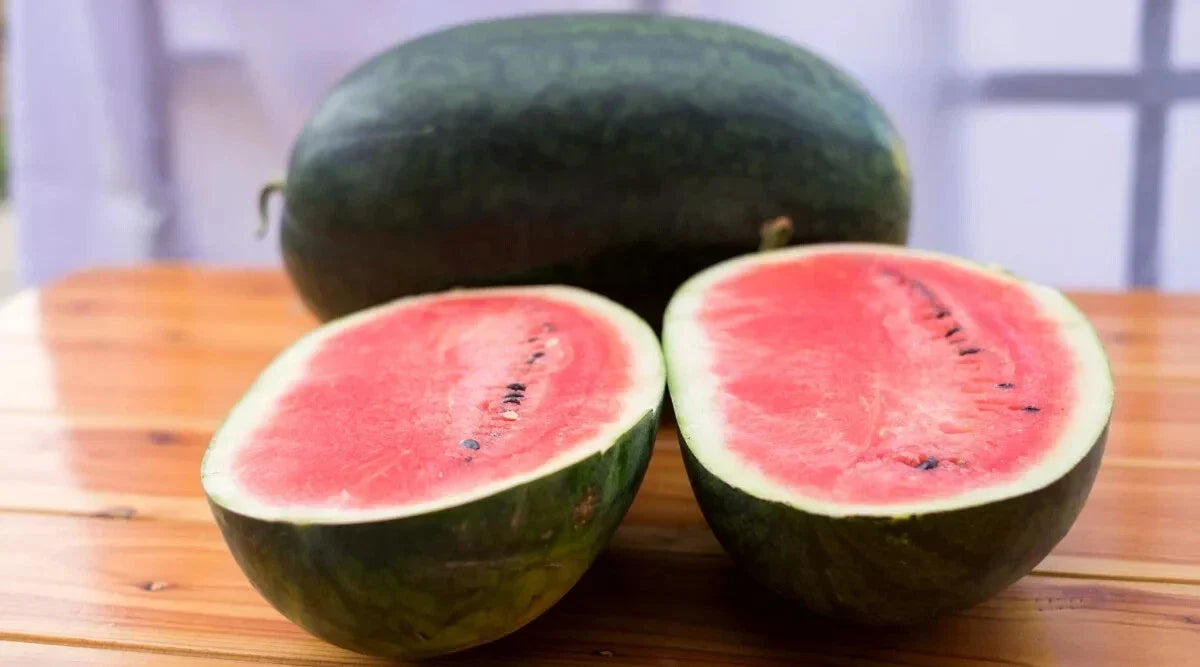 Black Diamond Watermelon Seeds - 50+ Pack, Heirloom Citrullus lanatus, Juicy, Dark Green Rind, Vining, Garden Seeds