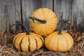 Tiger Stripe Pumpkin Seeds - Organic Cucurbita pepo - 20 Seeds for Home Garden, Decorative, USA Grown
