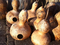 Heirloom Martin Birdhouse Gourd Seeds – Non-GMO, 50 Pack, Lagenaria siceraria for Birdhouses & Garden Aesthetics