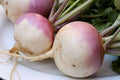 Turnip Vegetable Seeds - Non-GMO Brassica rapa Pack of 20 for Organic Gardening, Bountiful Harvest, Free USA Shipping
