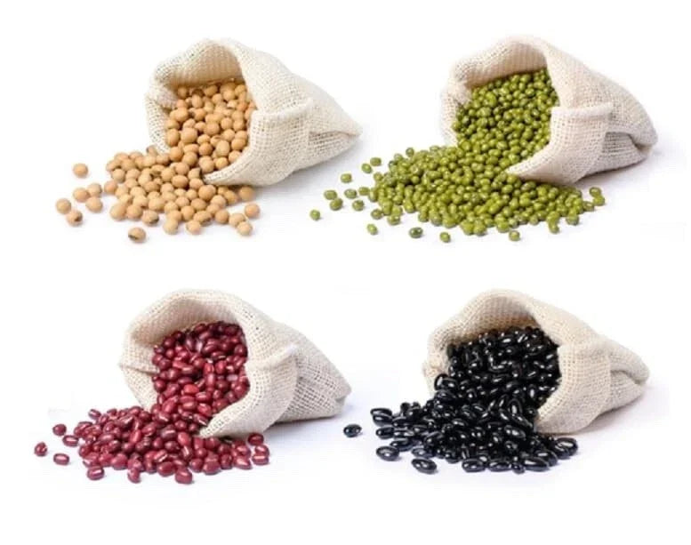 Bean Seeds Bundle - Soybeans, Mung Beans, Adzuki Beans, Black Soybean - Heirloom Varieties, High Germination Rate