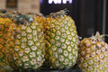 Champaka Pineapple Seeds – 15+ Ananas comosus Tropical Fruit Garden Planting Pack