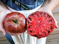 Cherokee Purple Tomato Seeds - Heirloom Non-GMO Solanum lycopersicum, 10+ Seeds for Home Garden, Fresh Eating & Canning